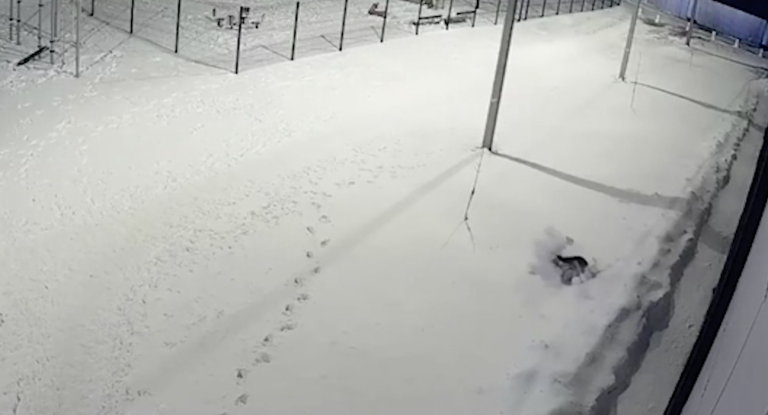 Cayó sobre la nieve: Niño de 5 años sobrevivió a impactante caída desde el piso 12 de un edificio