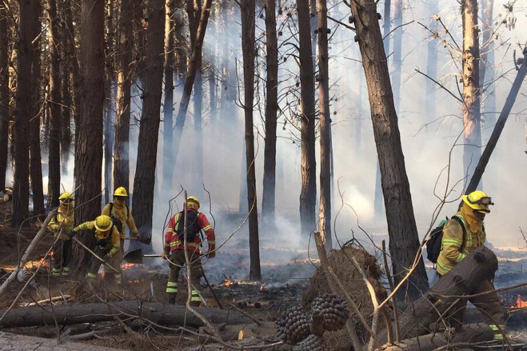 Alerta Roja para las comunas de Valparaíso y Casablanca por incendio forestal cerca de Lago Peñuelas