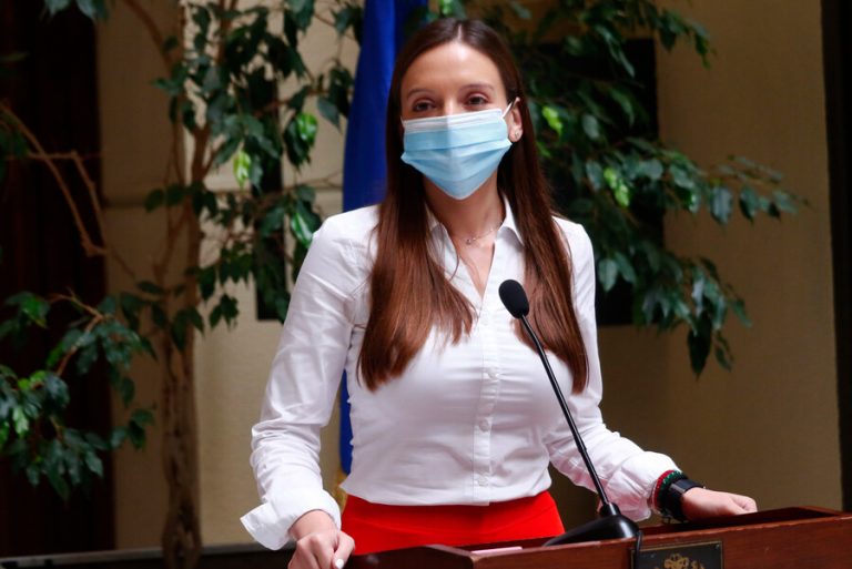 Camila Flores critica 