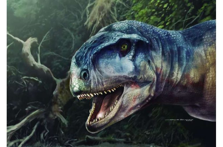 Descubren un nuevo T-Rex que dominó la Patagonia hace 80 millones de años