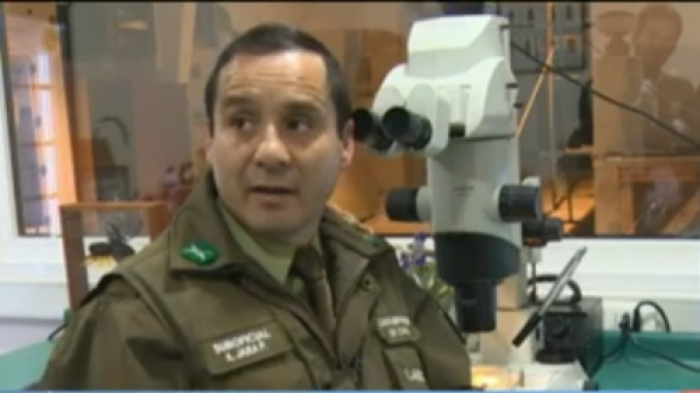 Carabinero entomólogo busca nuevas pruebas para aclarar muerte de Tomás Bravo