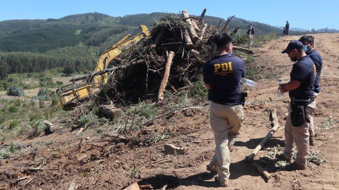 Este es el plano que utilizó fiscalía para tratar de imputar al tío abuelo de Tomás Bravo