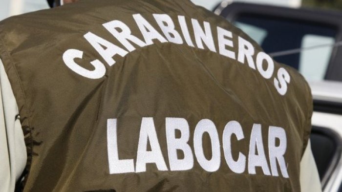 Entomólogo realiza importantes pericias en lugar de hallazgo de Tomás Bravo