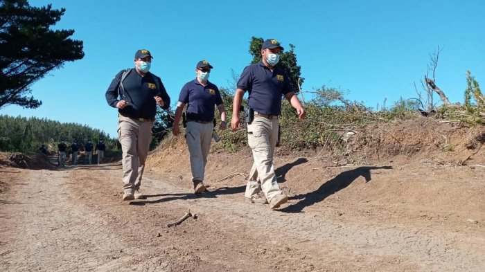 Contigo En Directo | Capítulo 166