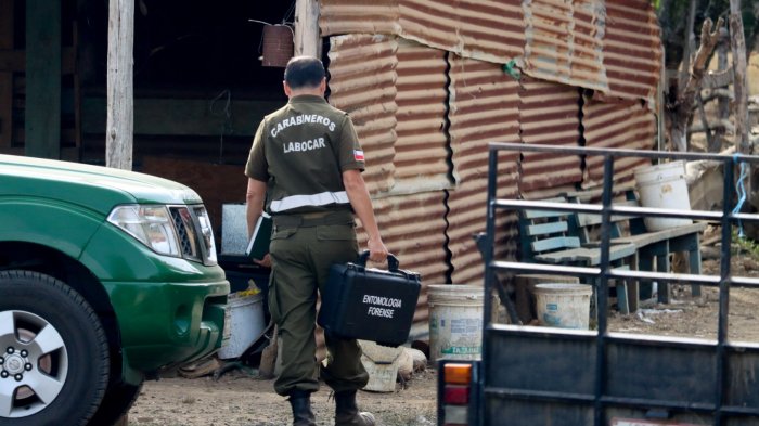Labocar encontró segunda zapatilla de Tomás Bravo a metros del primer hallazgo