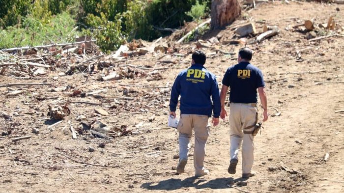 Familia de Tomás Bravo acusó trato inadecuado de funcionarios PDI