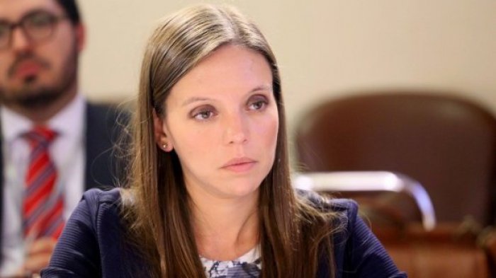 Camila Flores: “La mayoría de los delincuentes que van a Plaza Italia no tiene idea de quién es el General Baquedano”