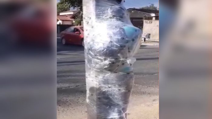 Delincuente fue plastificado tras intento de robo en Villa Alemana: El sujeto fue detenido por Carabineros