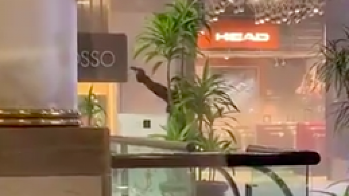 Violento asalto a joyería de Mall Alto Las Condes: Un funcionario PDI resultó herido