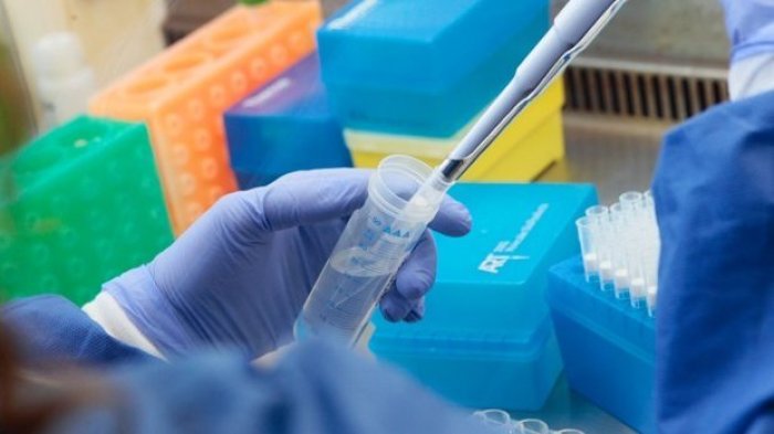 Preocupación por nueva cepa de New York: Han ingresado 144 casos de nuevas variantes a Chile