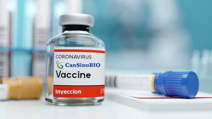Vacuna CanSino: ¿Cómo funciona la nueva opción de inoculación que llegaría pronto a Chile?
