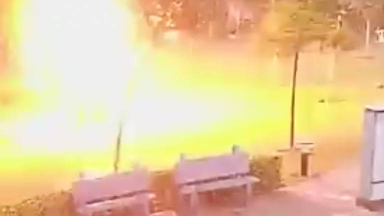 Se refugiaron de la tormenta bajo un árbol y fueron alcanzados por un rayo: Uno de ellos murió