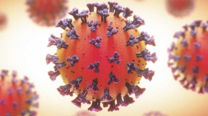 ¿Por qué las nuevas cepas del Covid-19 son más contagiosas?