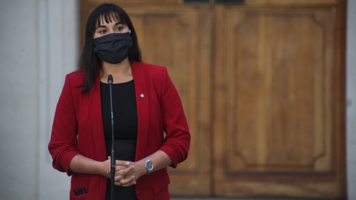 ¿Recomendarán suspenderlas? Izkia Siches reveló propuesta del Colegio Médico sobre realización de elecciones