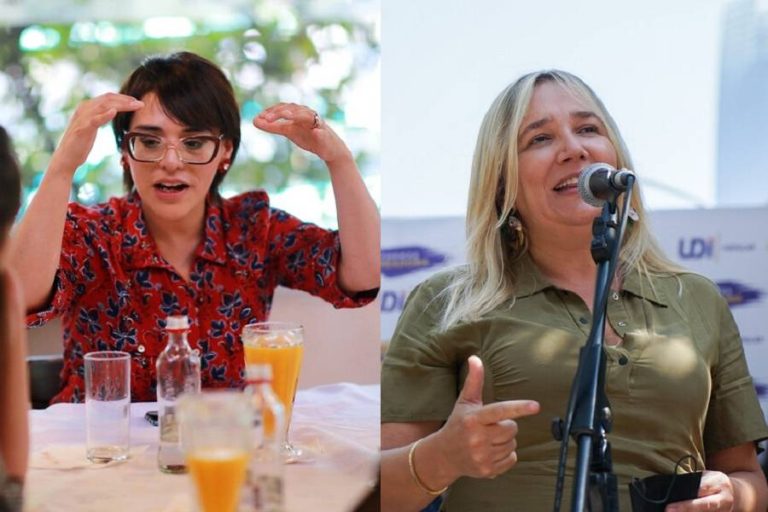 La crítica de Karina Oliva a M.J. Hoffmann por abstenerse en proyecto de imprescriptibilidad de delitos sexuales