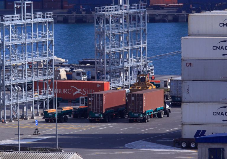Portuarios anuncian paralización tras decisión del gobierno de acudir al TC por tercer retiro