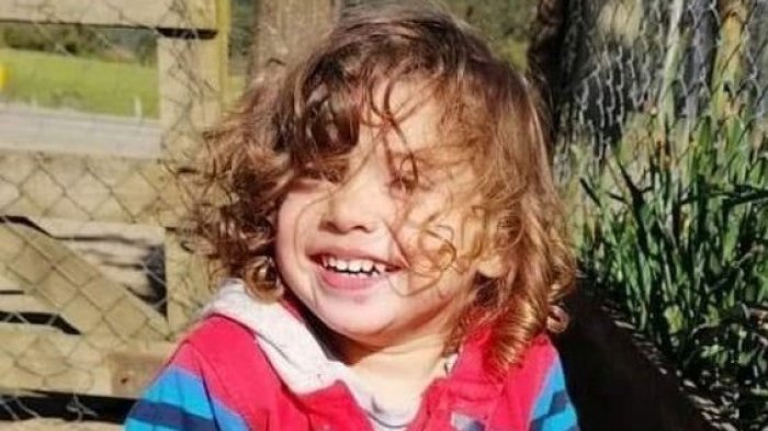 Abogado Pedro Díaz y su equipo realizaron pericias donde se encontró el cuerpo de Tomás Bravo