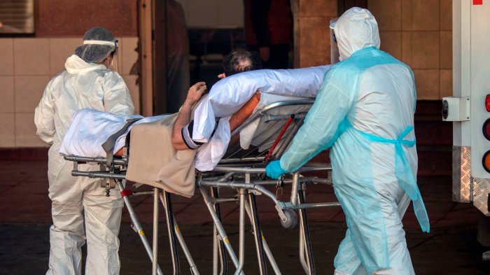 Genetista Florencia Tevy: “La crisis no se va a acabar si los políticos no escuchan a la ciencia y no trabajamos al unísono”