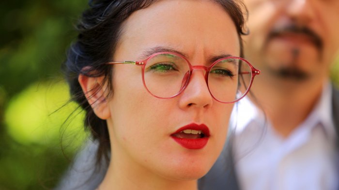 Camila Vallejo sobre 