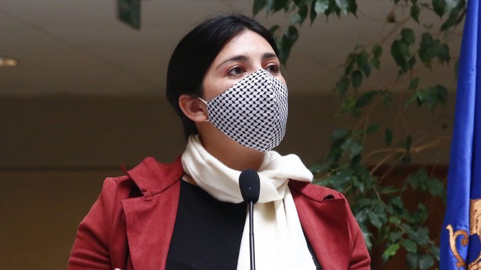 Karol Cariola: “El Tribunal Constitucional se ha pasado de la raya muchas veces”