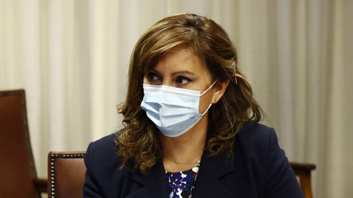 Loreto Carvajal: “El presidente no genera sintonía, no entiende ni se hace cargo de lo que es gobernar el país en pandemia”