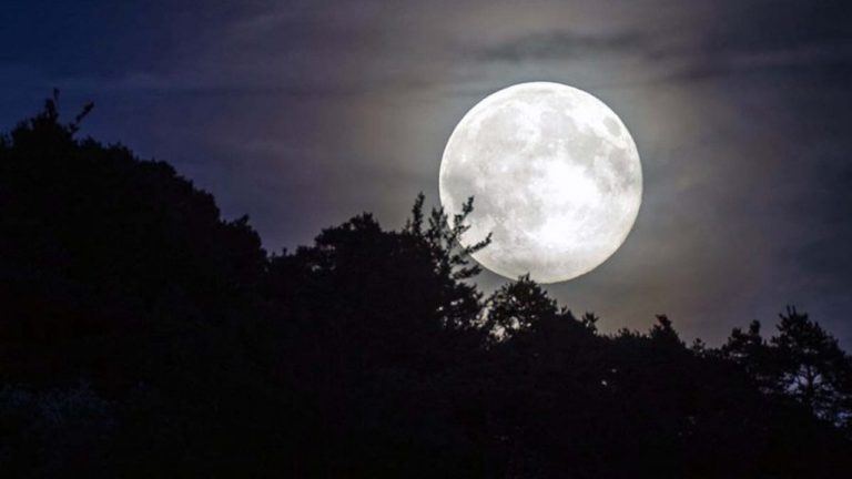 ¿La viste? Revisa las postales más notables de la primera Superluna del año