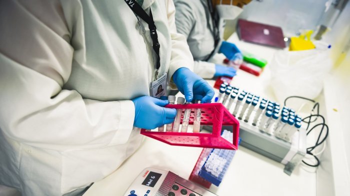 Peak histórico: Chile registró más de 9 mil contagios por Covid-19 en las últimas 24 horas