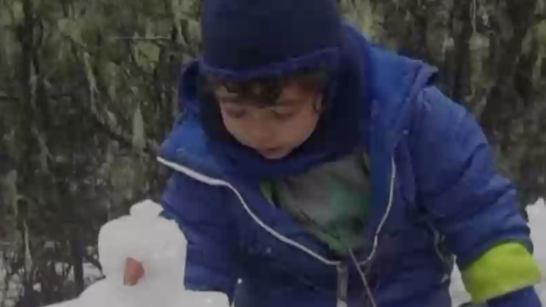 Caso Tomás Bravo: Fiscal califica de 