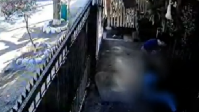 Femicidio frustrado: El impactante video del momento en que vecinos salvaron a mujer de 20 años atacada por su pareja