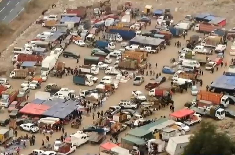 Vendían caballos y ovejas: Feria ilegal funcionaba sin permisos en Pedro Aguirre Cerda