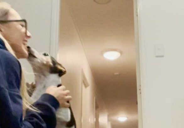 Influencer grabó conmovedor reencuentro con su perrito luego de un año y medio separados