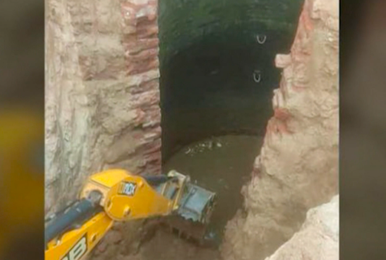 Bebé elefante fue rescatado después de caer en un pozo de 9 metros de profundidad