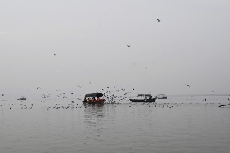 71 cadáveres aparecieron a orillas del Río Ganges en India