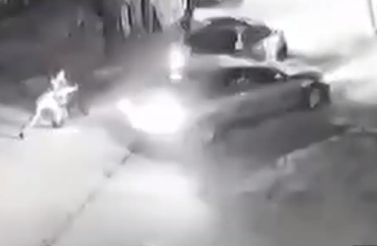 Atropelló a carabinero para evadir fiscalización vehicular y terminó con un impacto de bala en el rostro