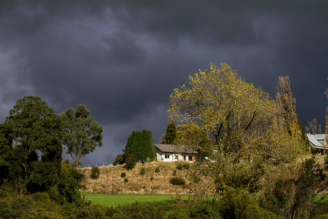 Experto inmobiliario: “Todo indica que construir una vivienda desde cero es mejor que comprar una nueva”