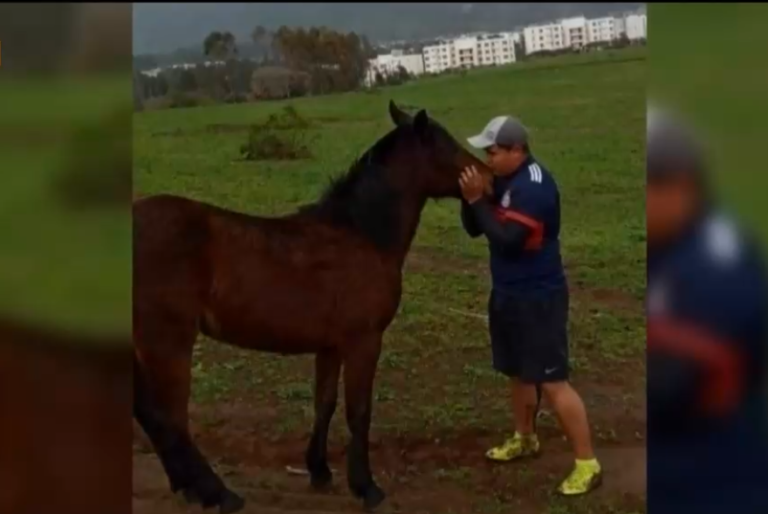 Misterioso crimen de joven arriero: PDI baraja hipótesis de conflicto interno en grupo que cultiva marihuana