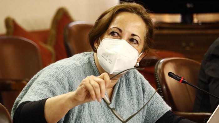 Alejandra Sepúlveda: “Se ofreció y se dijo que íbamos a tener un 70% de sueldo en actividad y vamos en un 12%”