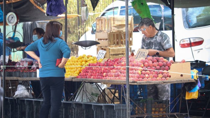 ¿Podrán funcionar las ferias libres durante este fin de semana de elecciones?