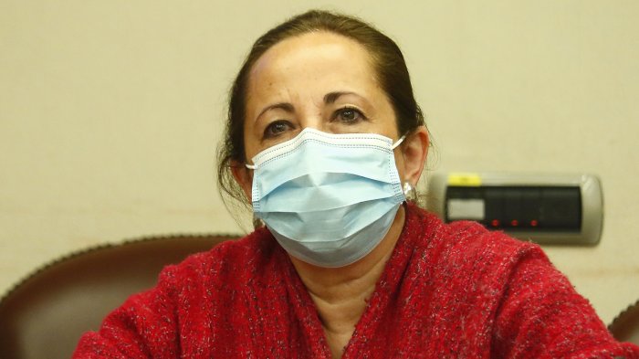 Alejandra Sepúlveda: “Los partidos más grandes han ninguneado permanentemente a aquellos con menos representación en el Congreso”