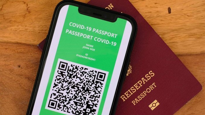 ¿Qué es el pase de movilidad? Conoce todo lo que debes saber para obtenerlo