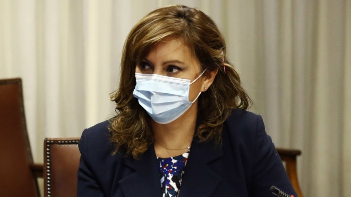 Loreto Carvajal por Bernardo Fontaine: “Si su mirada se restringe al distrito en que fue electo, pareciera que se vive una realidad paralela”