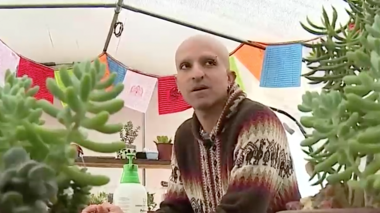 Lograron más escaños: Los candidatos constituyentes que ganaron mediante campañas con 