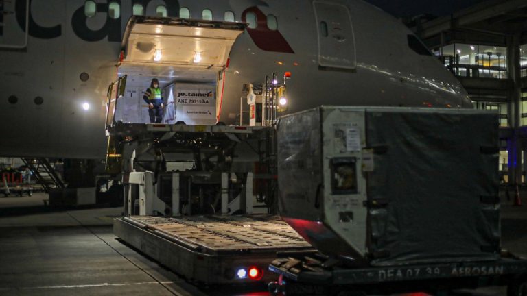 Llegaron más de 600 mil vacunas entre Pfizer y AstraZeneca