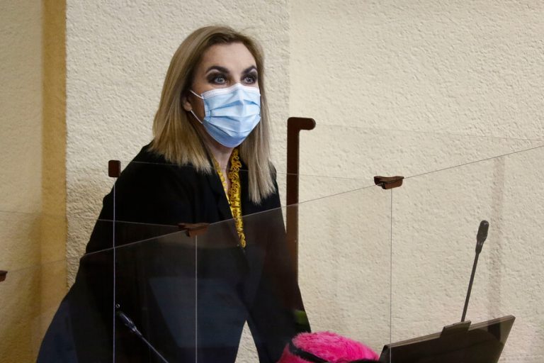 Pamela Jiles ingresó el proyecto para retirar la totalidad de los fondos de las AFP