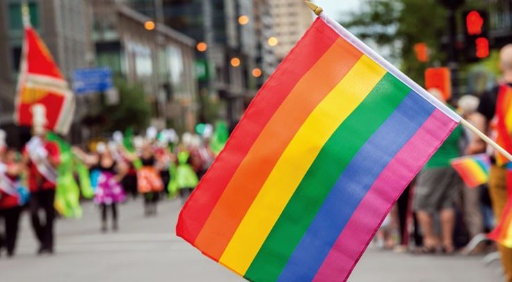 Molestia en la UDI: Gobierno puso suma urgencia al proyecto de matrimonio igualitario