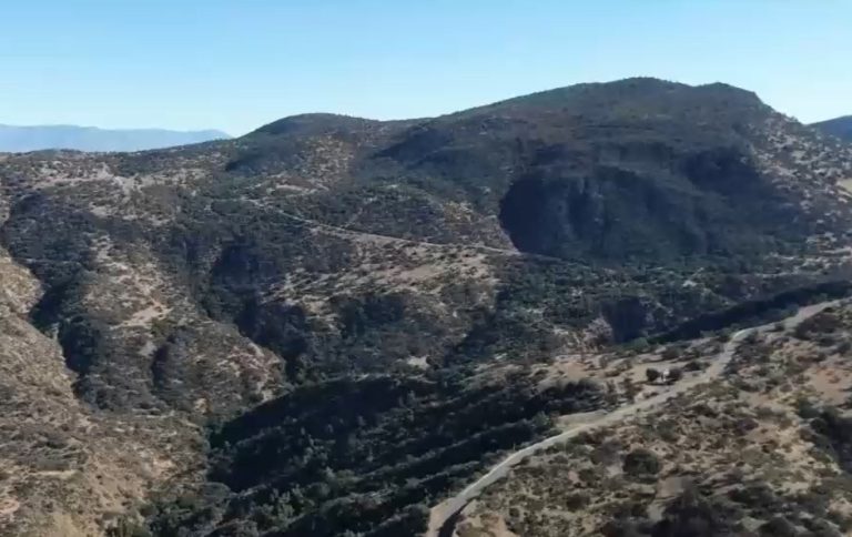 Polémica por construcción en área ecológica: Autoridades denunciaron a la inmobiliaria