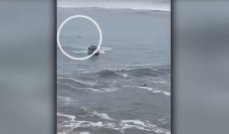 Surfistas fueron rescatados en Concón: Estaban mar adentro a pesar de alerta por marejadas