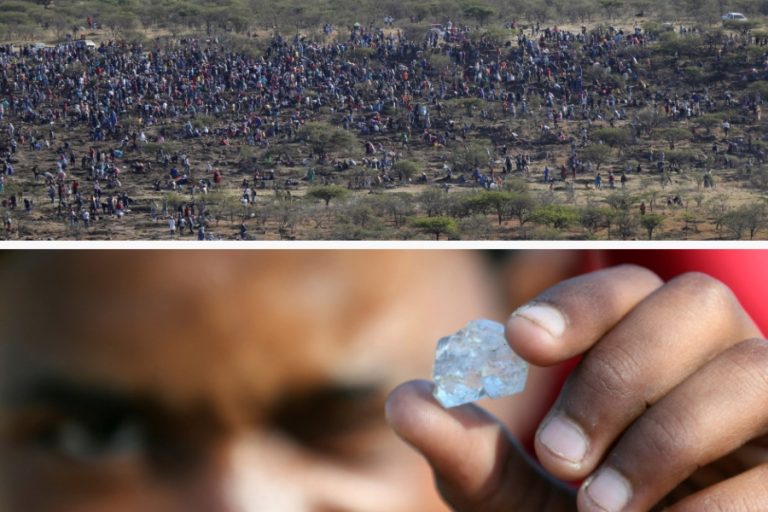 Con palas y picotas: Más de mil sudafricanos llegan hasta un campo donde un pastor encontró una misteriosa joya