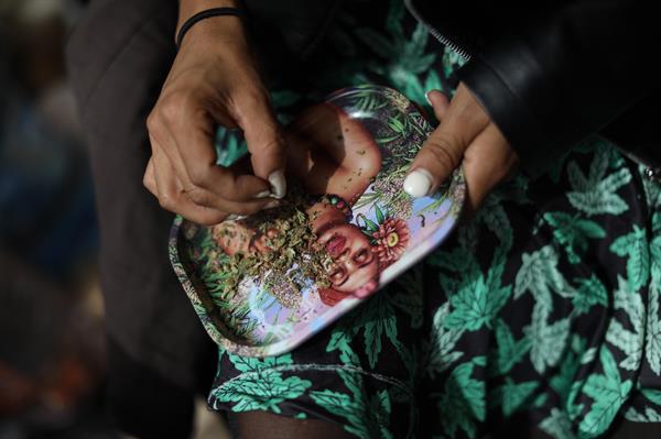 Corte Suprema de México despenaliza el consumo recreativo de marihuana