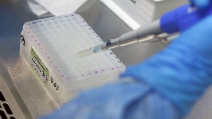 Perú confirma primer caso de variante india y no sería importado